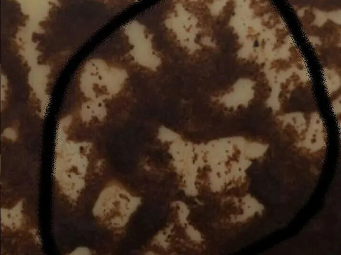 Запись на консультацию к ясновидящей в Железногорске